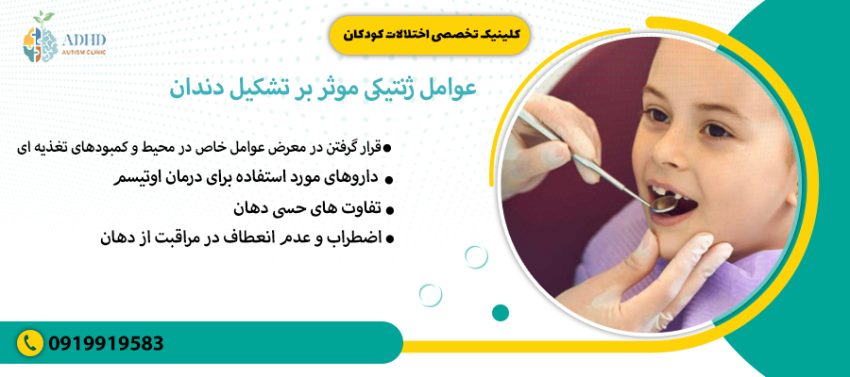 عوامل ژنتیکی موثر بر تشکیل دندان